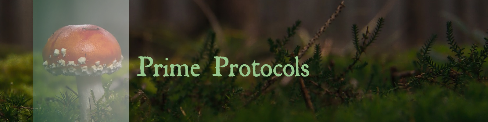 Prime Protocols Header
