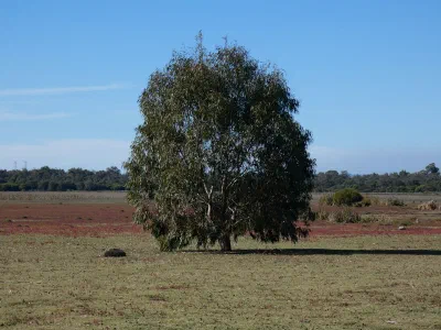 Dry climate