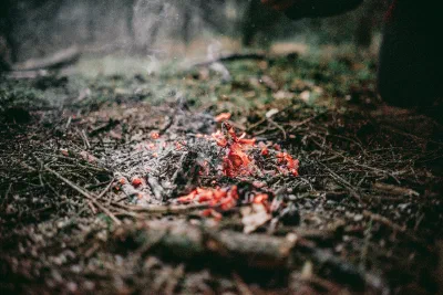 Embers of a campfire
