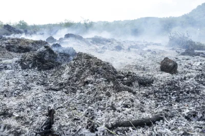 View of a wildfire aftermath depicting a scorched landscape.